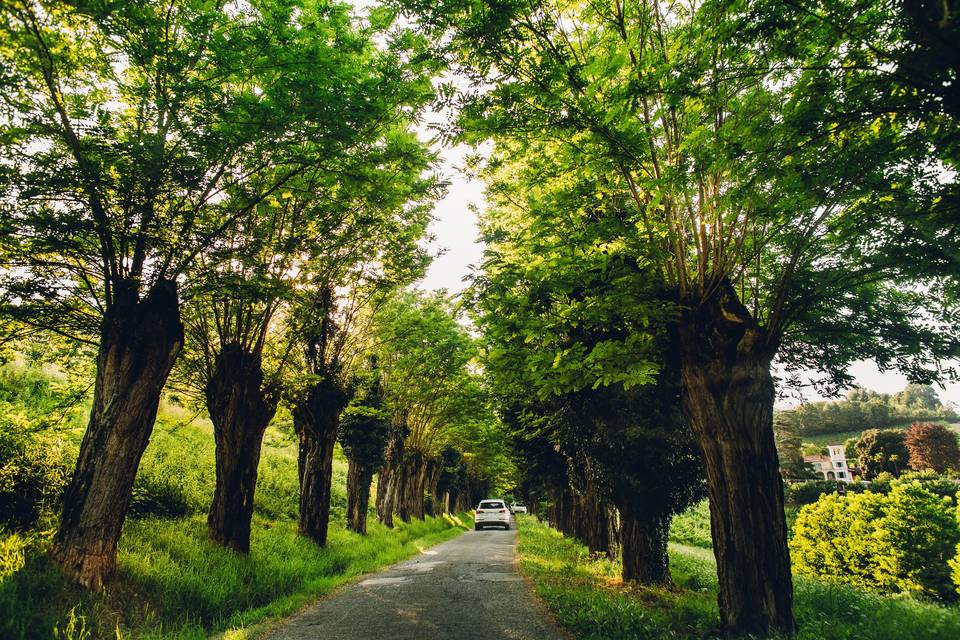 Viale d'ingresso