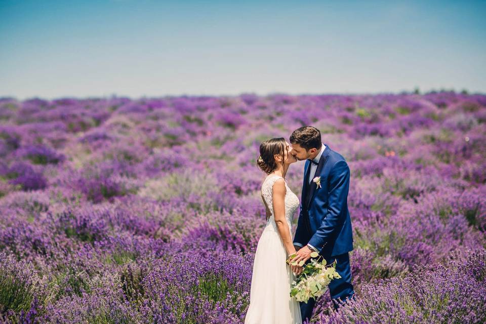 Lavanda Cascina La Gelosia