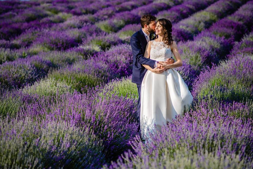 Lavanda Cascina La Gelosia