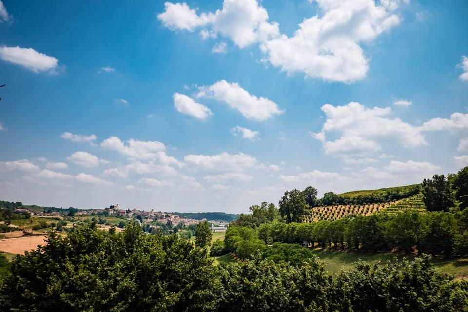 Vigneti