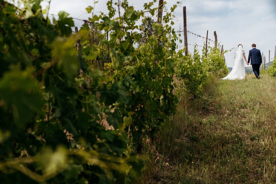Vigneti