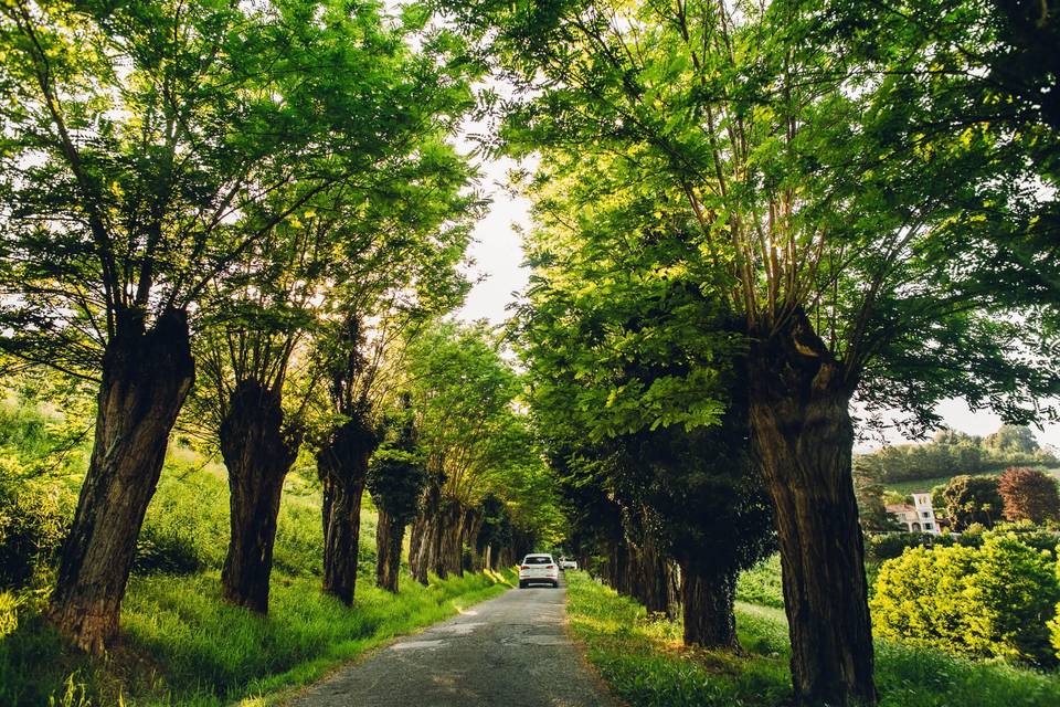 Il viale monumentale