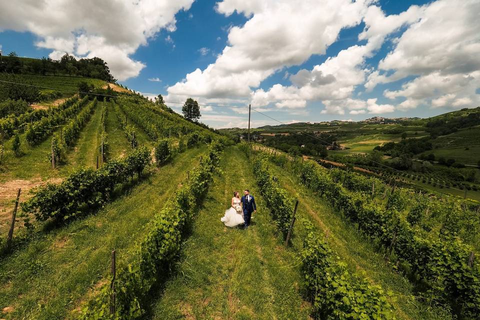 Vigneti