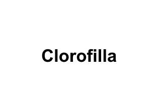 Logo Clorofilla