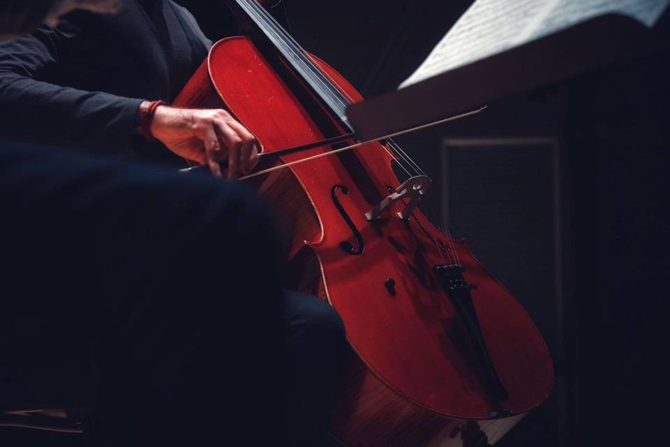 Cello. Photo by Alessio Ponti