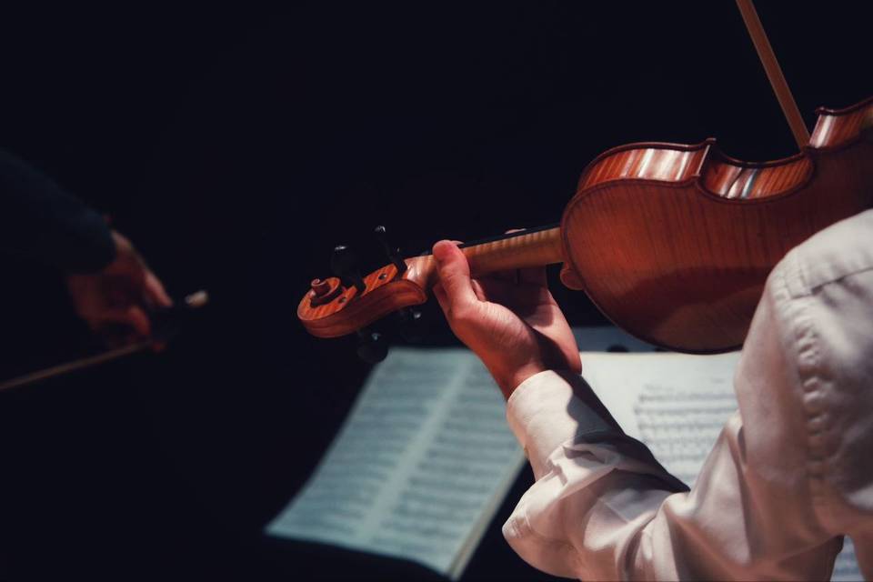 Violin. Photo by Alessio Ponti