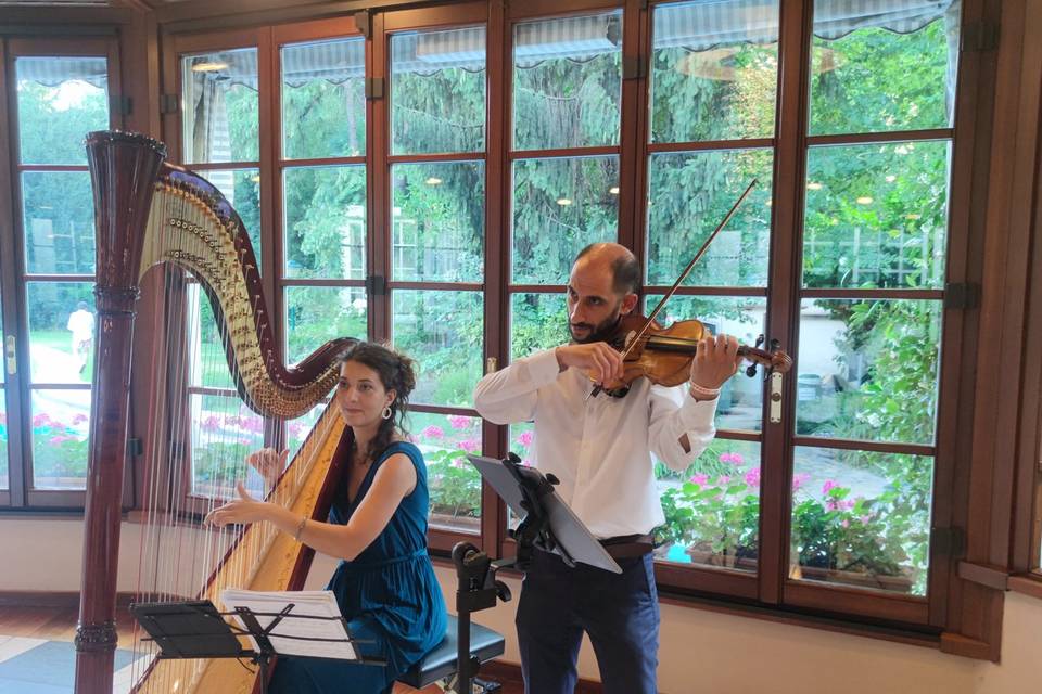 Cena di gala arpa e violino