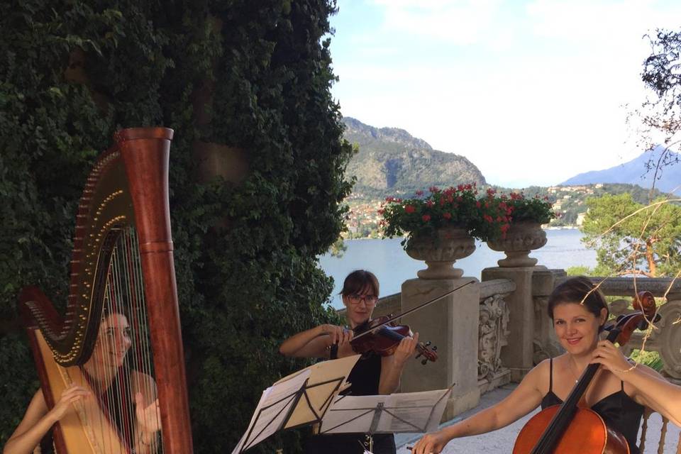 Trio arpa violino violoncello