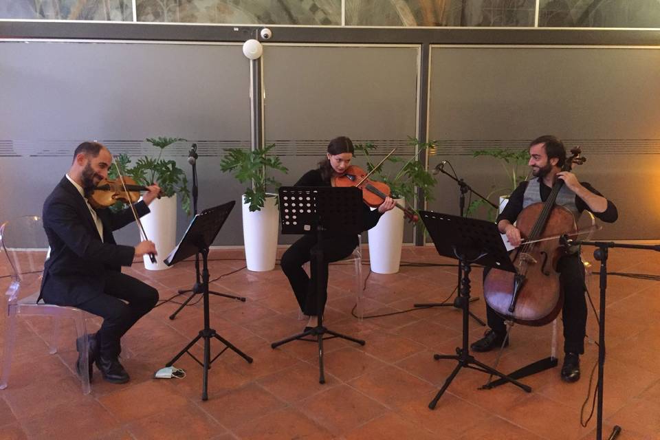 Trio d'archi al ricevimento