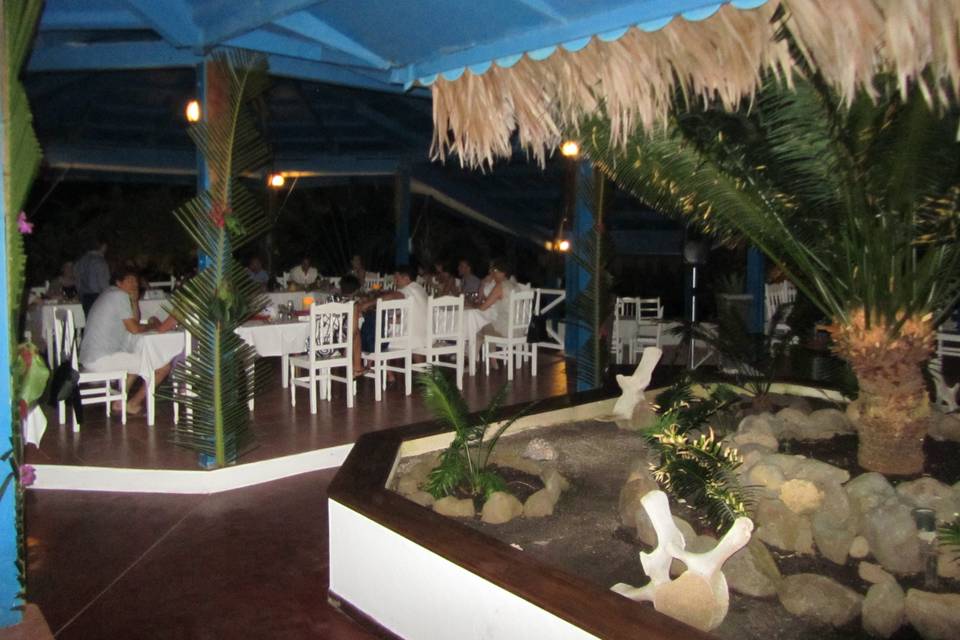 Cenetta in Madagascar