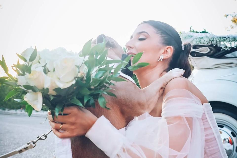 Ana Bolea
