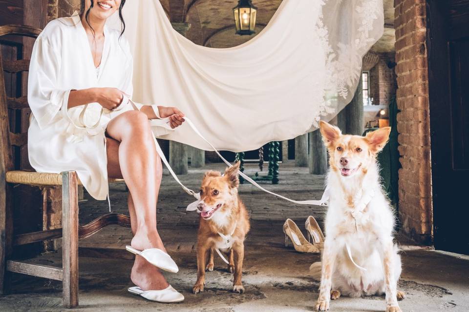 Ana Bolea