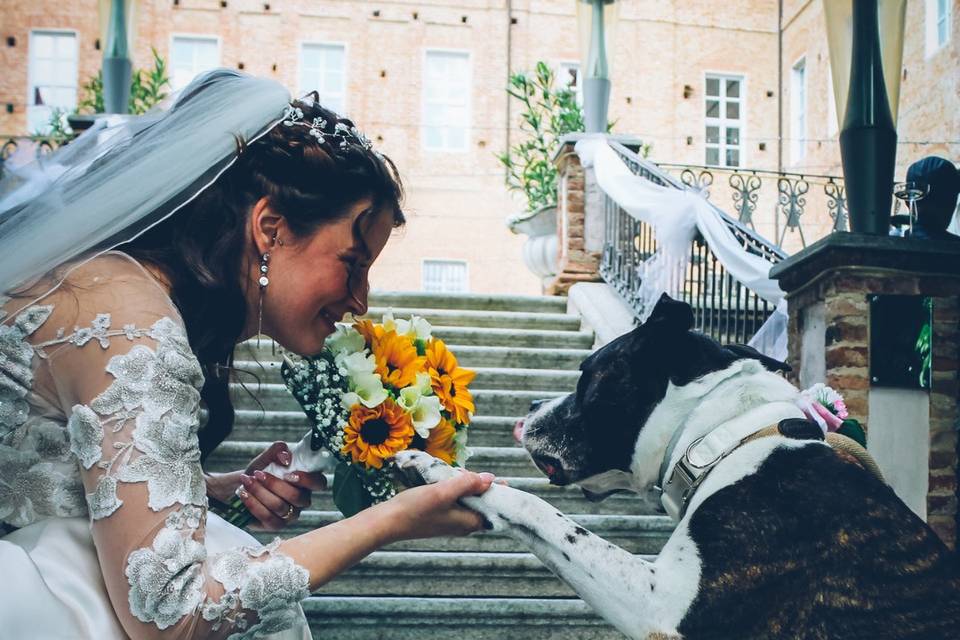 Ana Bolea