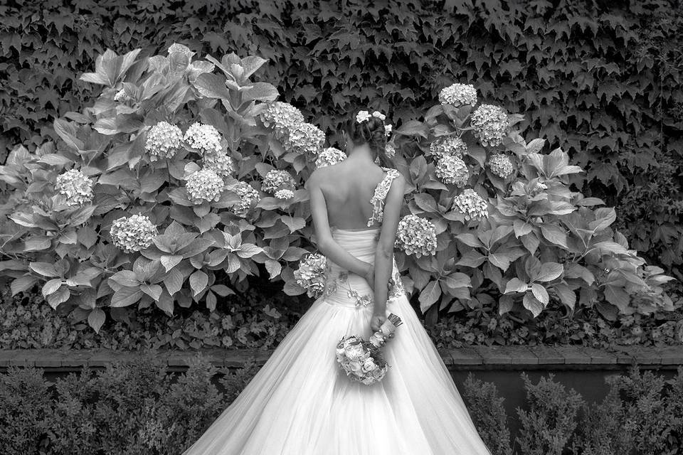 Wedding Photographer Ravello