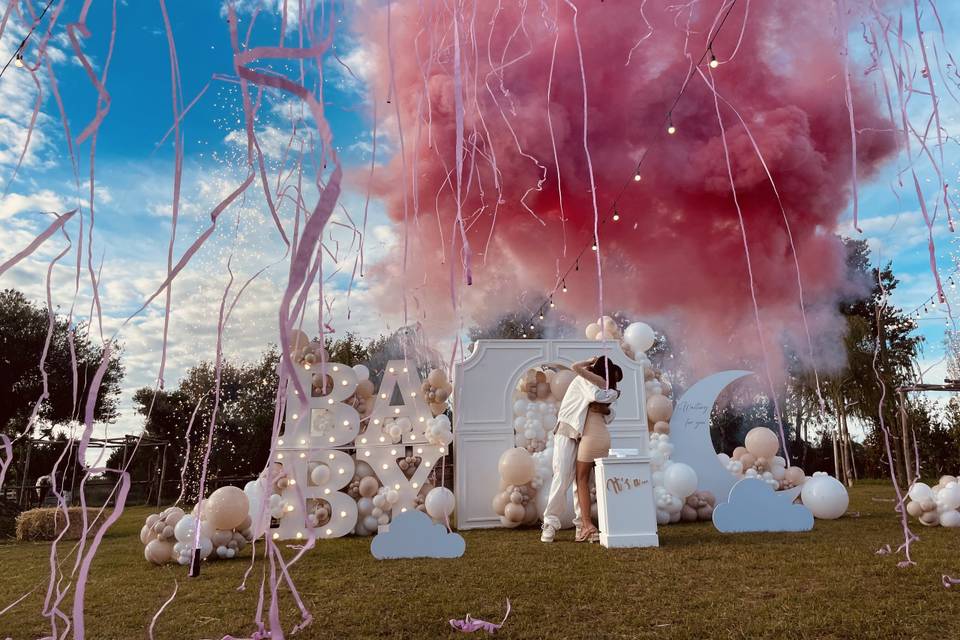 Gender reveal RONCHI FIREWORKS