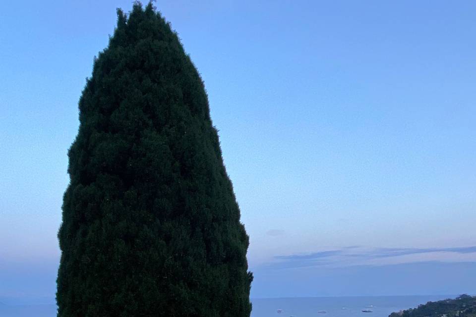 Location top