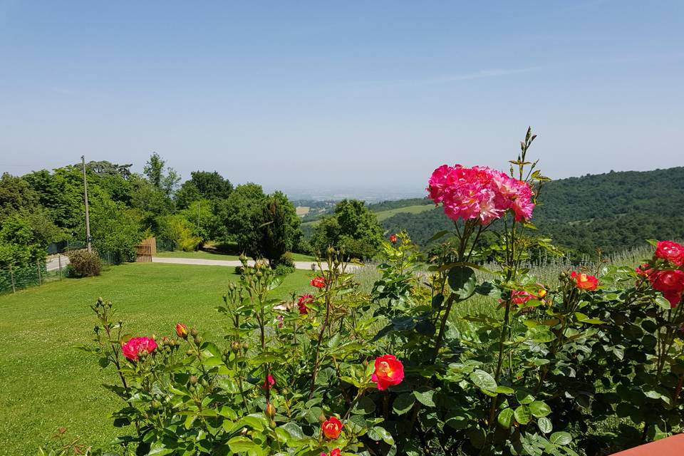 La vista dalla terrazza