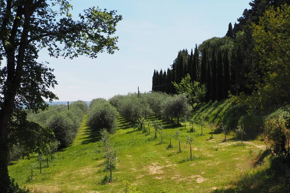 Vista panoramica dalla villa