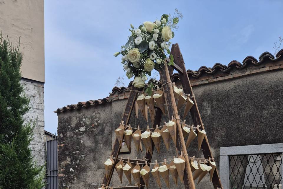 Petali da lancio