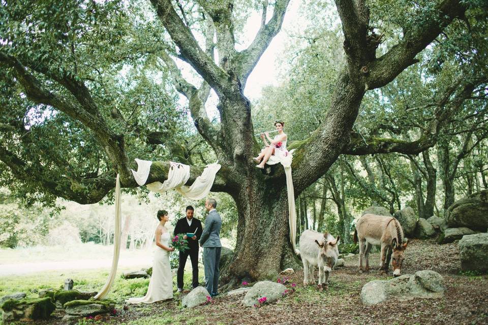 Matrimonio nel bosco