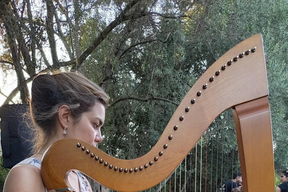 Harp - ceremony