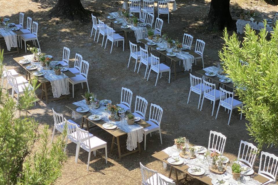 Cena sotto i tigli