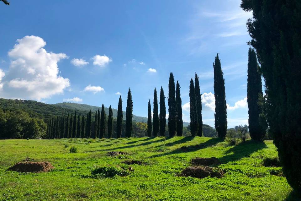 I Salici Agriturismo