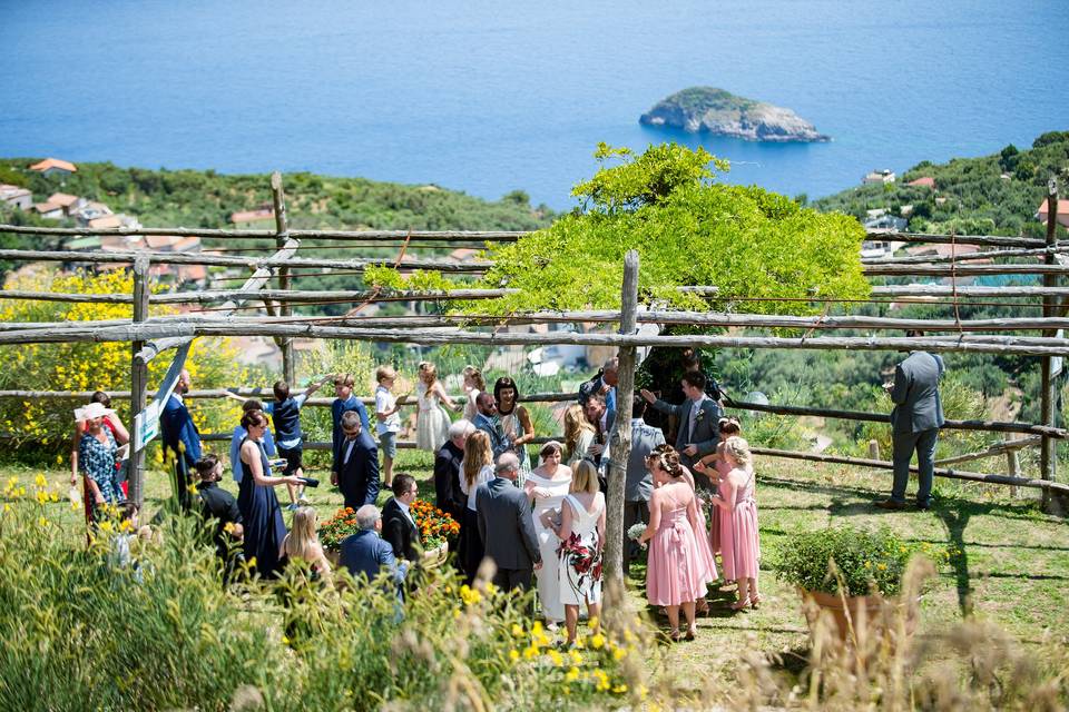 Agriturismo Fattoria Terranova