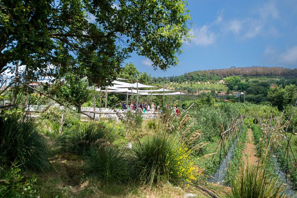 Agriturismo Fattoria Terranova