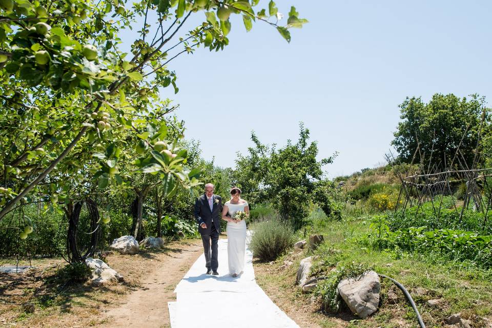 Green wedding country chic