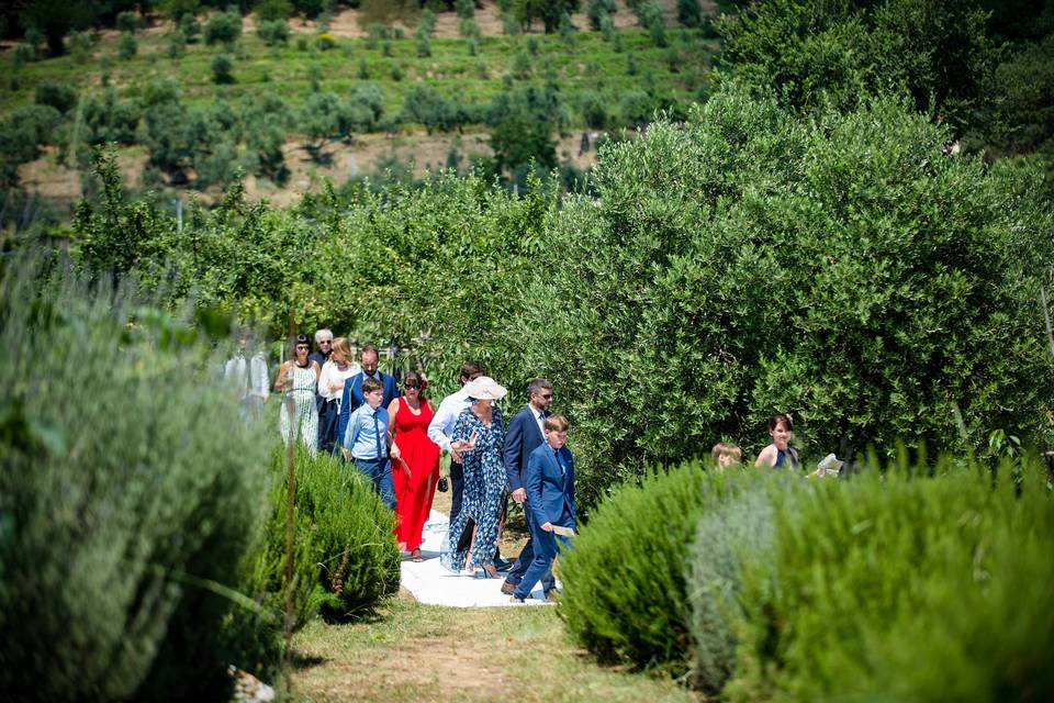 Green wedding country chic