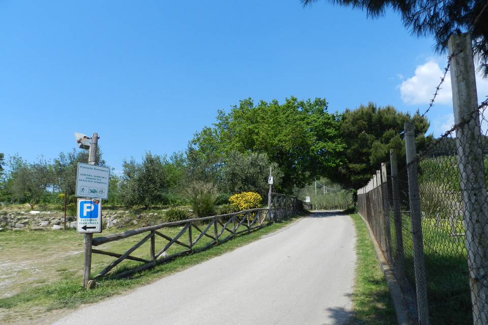 Agriturismo Fattoria Terranova