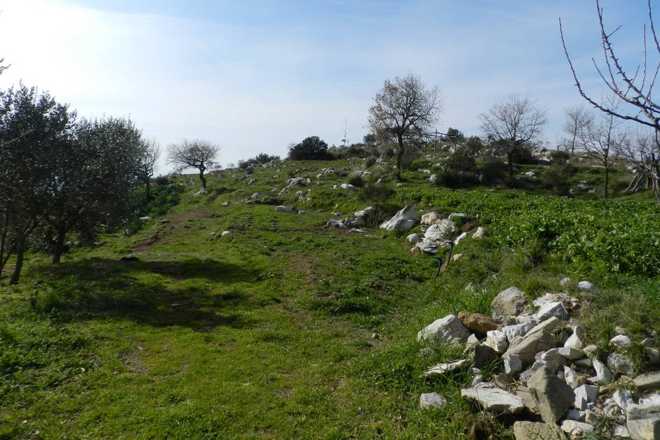 Agriturismo Fattoria Terranova