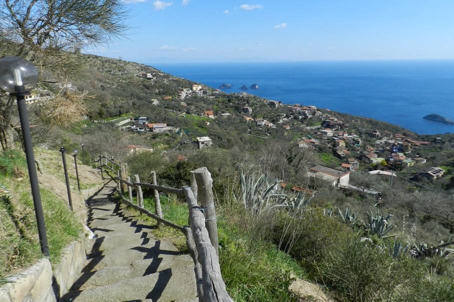 Agriturismo Fattoria Terranova