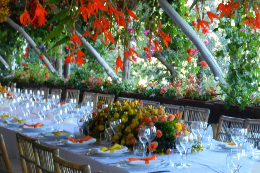 Matrimonio in fattoria