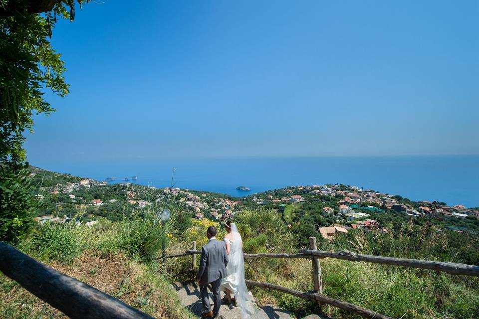 Agriturismo Fattoria Terranova