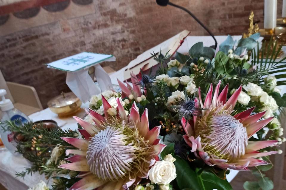 Addobbo PROTEA GIGANTE