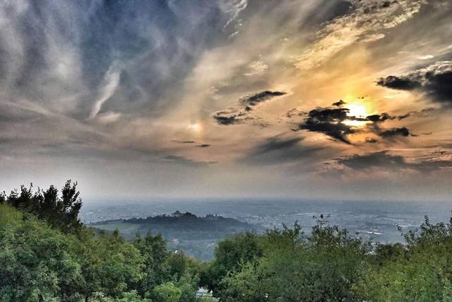 Tenuta Monte della Nebbia