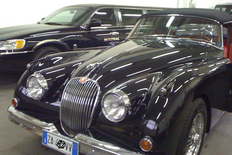 Jaguar XK 150