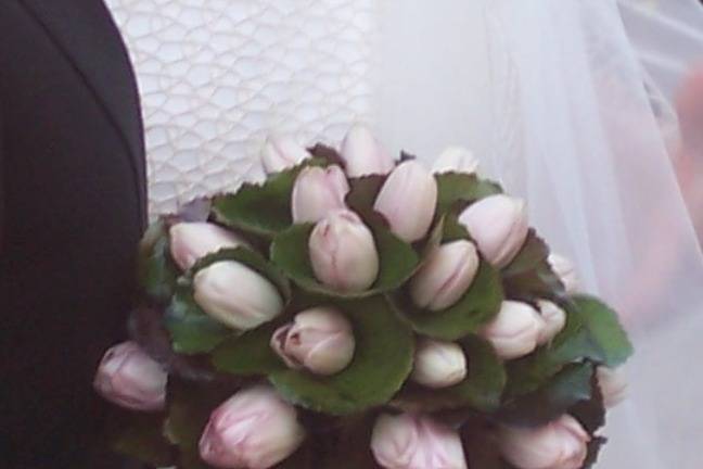 Bouquet tulipani