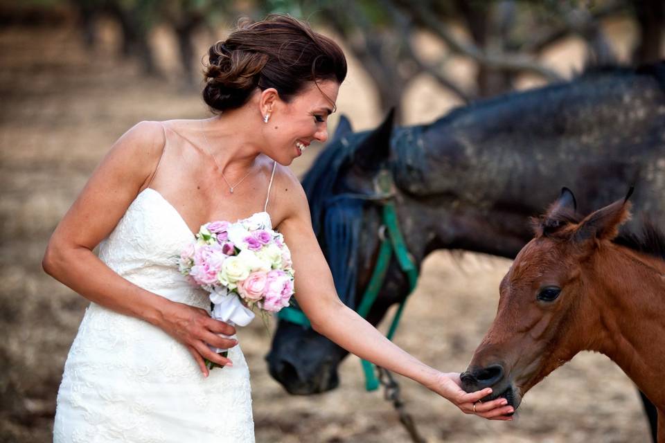 Reportage matrimonio sicilia