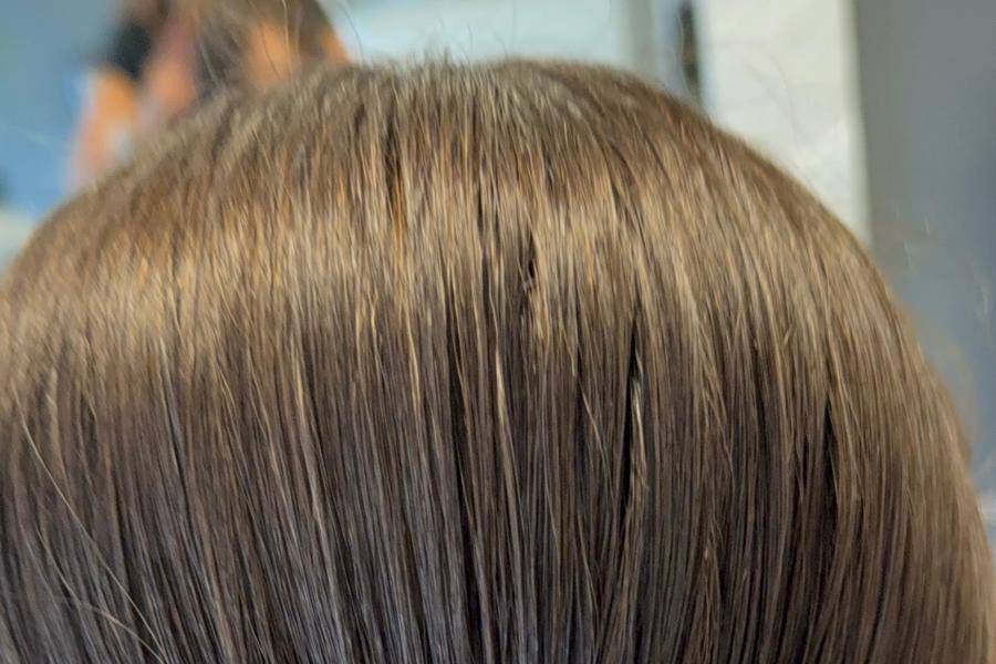 CHIGNON