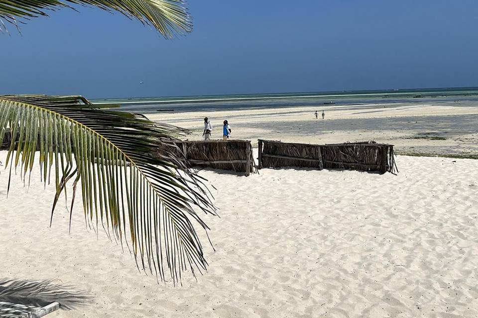 KENYA Watamu Jacaranda Beach