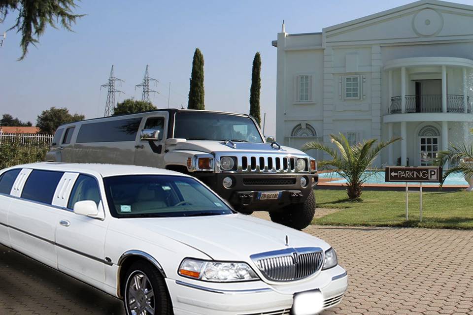 Limousine in villa renoir