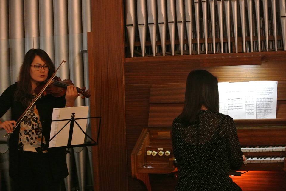 Violinista e organista