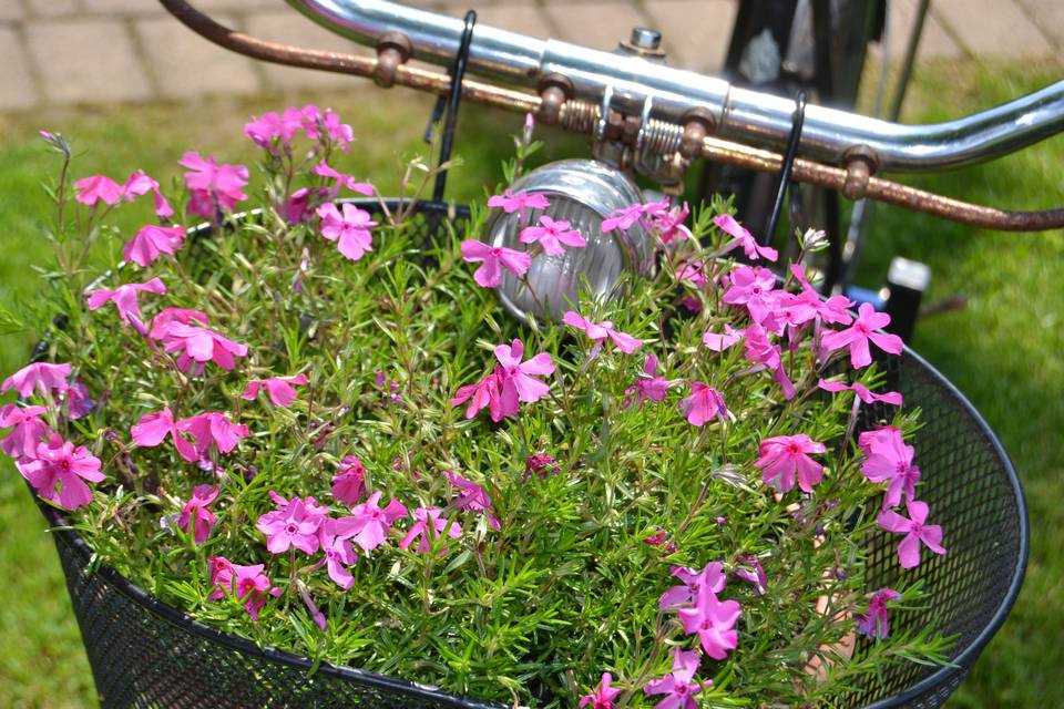 Bicicletta in fiore