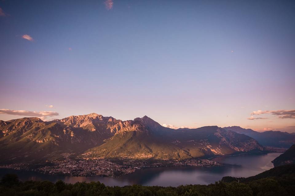 Tra gli alberi