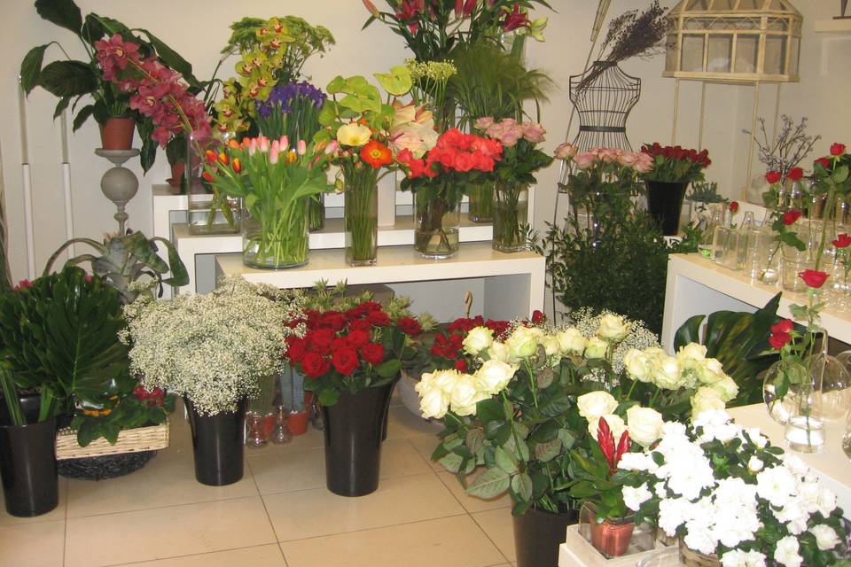 Maison des Fleurs