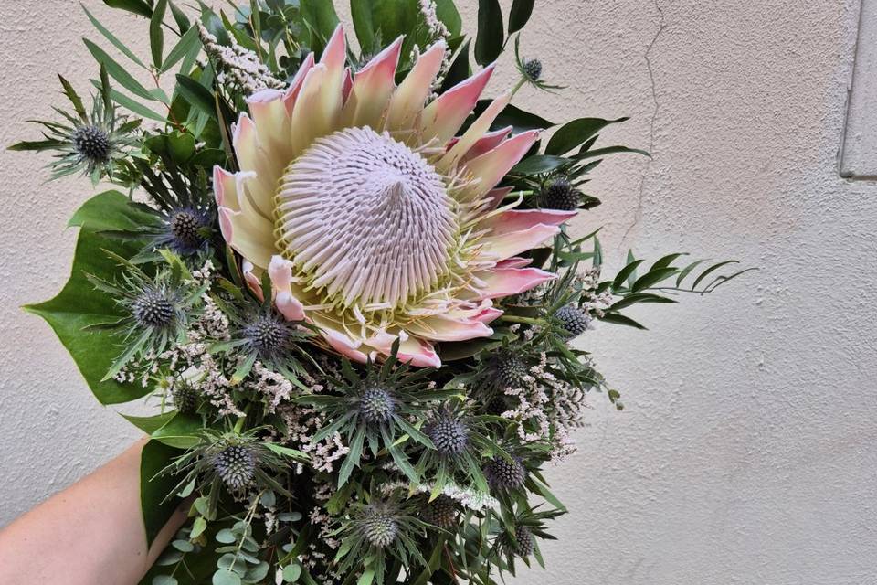 Bouquet con protea
