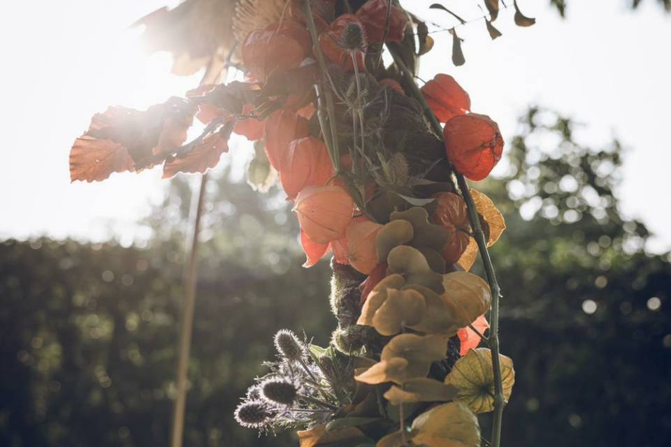 Cerchio autunnale